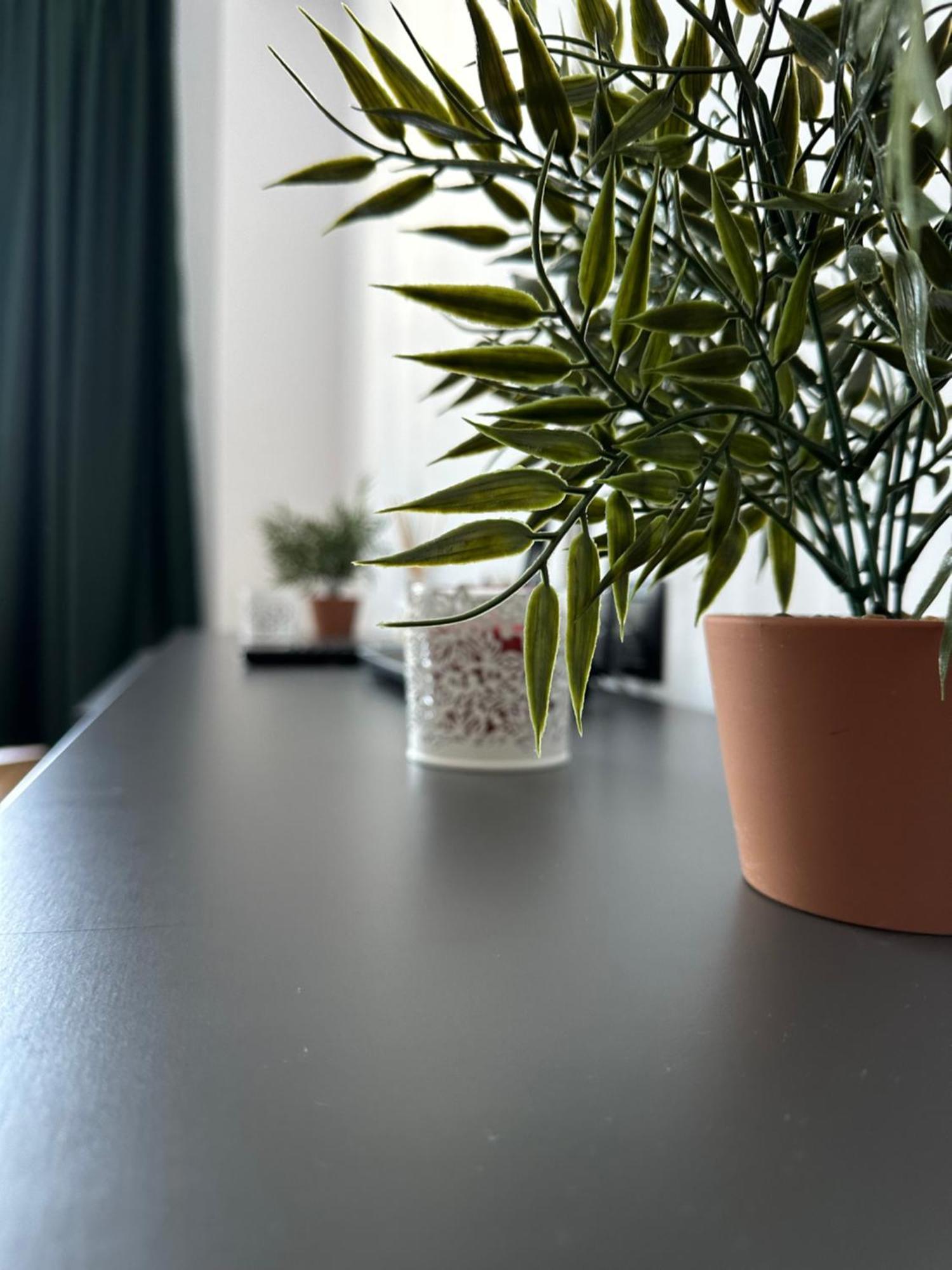 Apartment Junior *